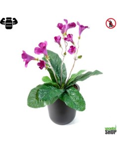 Fleur X12 streptocarpus violet Plante artificielle ANTI UV NON IGNIFUGE vegetal shop