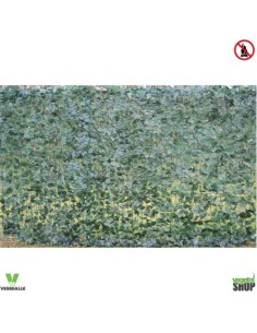 Lierre artificiel FILET 200*300