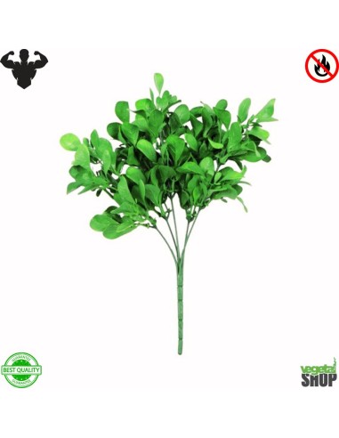 Peperomia Jade 30 cm Plante artificiel ignifuge