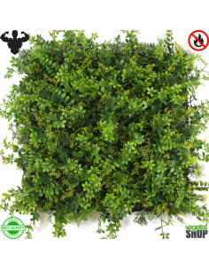 LOT 10+1 offert Mur végétal ignifugé BALIA 1M2 artificiel décoration restaurant magasin ignifugé anti FEU UV vegetal shop