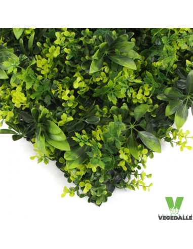 Mur-vegetal-1M2-pas-chere-ANTI-FEU