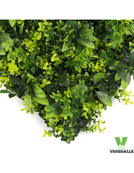 LOT 10+1 gratuite Mur plafond végétal MORIA 1M2 décoration restaurant boutique magasin anti FEU UV vegetal shop