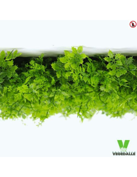 Mur-vegetal-1M2-pas-chere-ANTI-FEU