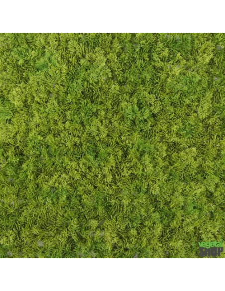 Mur végétal lichen vert artificiel 10+1M2 ANTI UV NON IGNIFUGE vegetal shop