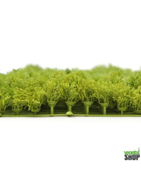 Mur végétal lichen vert artificiel 10+1M2 ANTI UV NON IGNIFUGE vegetal shop