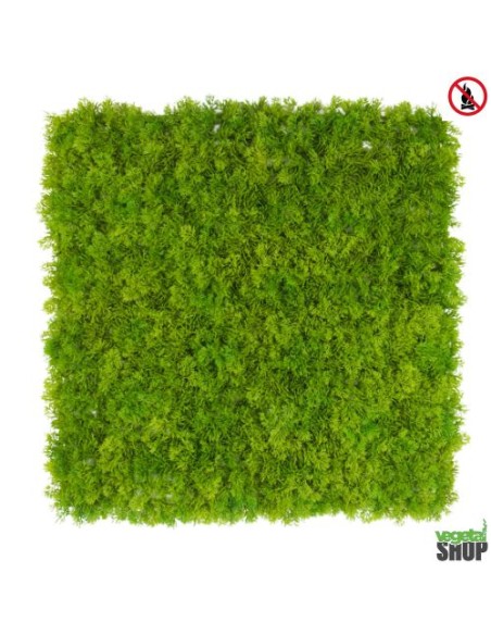 Mur végétal lichen vert artificiel 10+1M2 ANTI UV NON IGNIFUGE vegetal shop