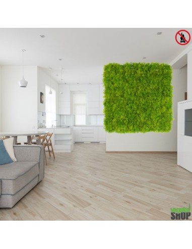 Mur-vegetal-lichen-artificiel