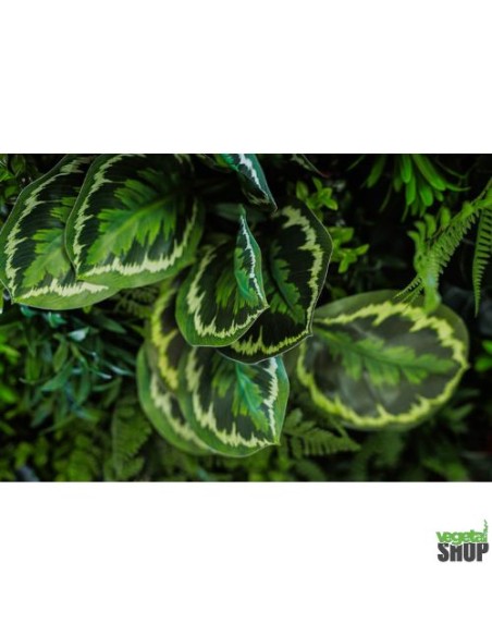 comment faire un mur vegetal soi meme artificiel