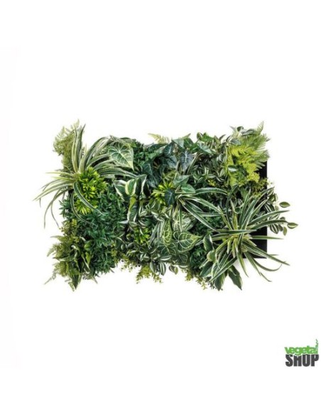 Mur végétal clé en main décoration restaurant boutique commerce magasin restaurant burger kebab vape