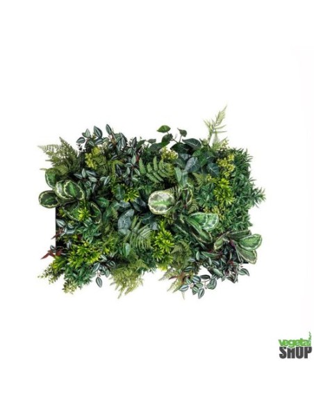 Mur végétal clé en main décoration restaurant boutique commerce magasin restaurant burger kebab vape