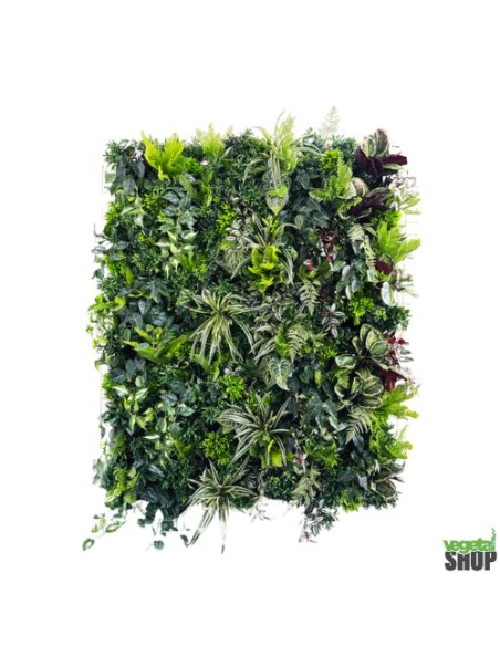 Mur végétal clé en main décoration restaurant boutique commerce magasin restaurant burger kebab vape