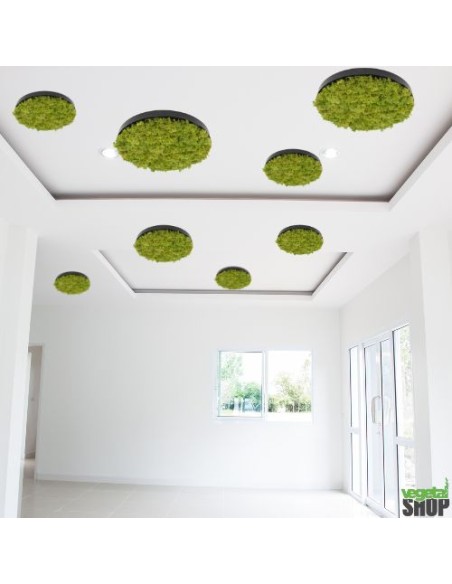 plafond vegetal promo