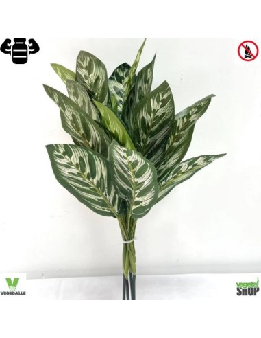 Calathea Makoyana 48 cm artificiel plante ignifuge anti-feu vegetal shop