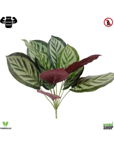 Calathea x20 Zebrina 34 cm artificiel plante ignifuge anti-feu vegetal shop