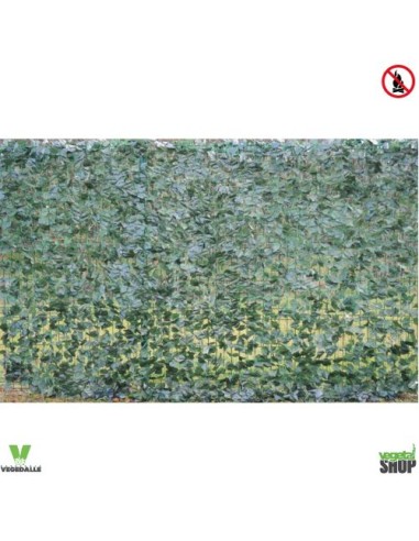 Lierre artificiel FILET 200*300