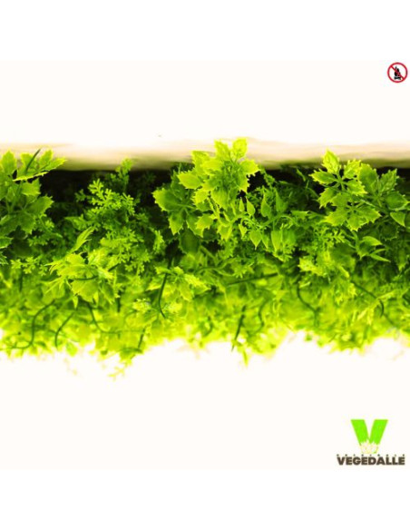Plafond Lot 6 Dalle végétale VEGEDALLE VERDA PREMIUM 60/60cm 100% IGNIFUGÉ artificiel Pret à poser vegetal shop