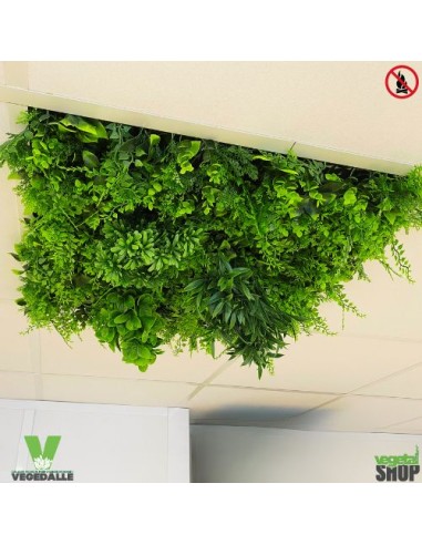 dalle-vegetale-pour-faux-plafond