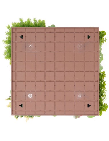 Tableau cadre FLEUR artificiel SUCCULIA 50cm ignifugé décoration institut beaute esthetique salon coiffure anti UV vegetal shop