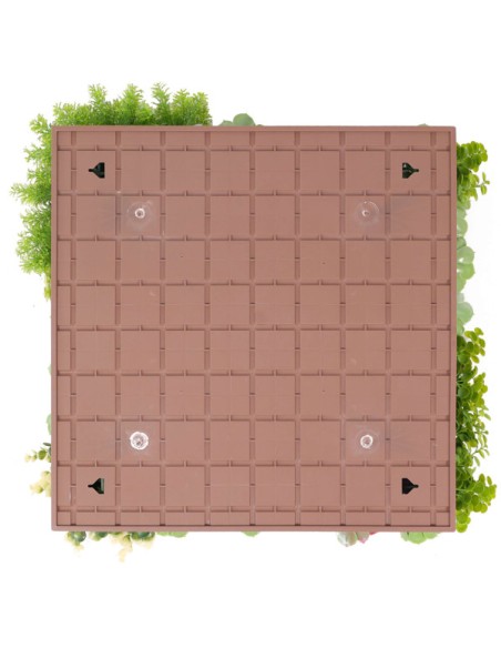 Mur de FLEUR SUCCULIA 1M2 décoration institut beaute esthetisme anti UV extérieur vegetal shop