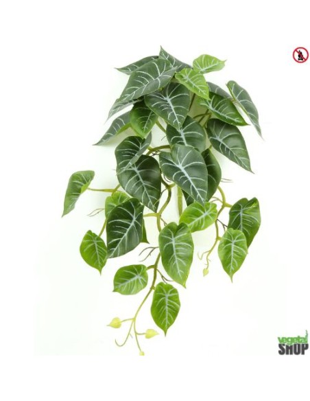 Alocasia x10 reginula 40cm artificiel plante ignifuge anti-feu vegetal shop