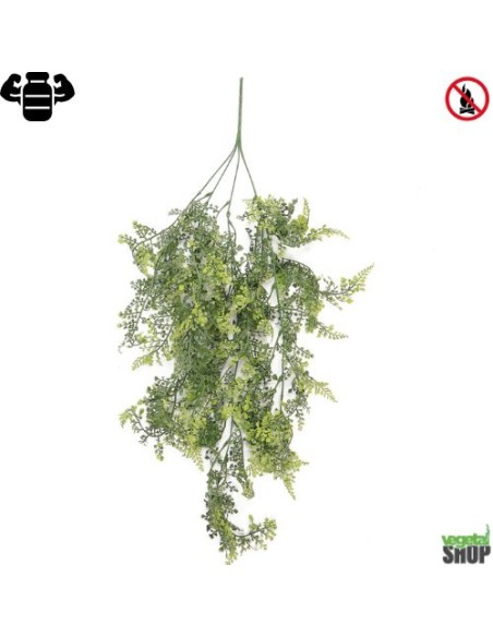Asplenium x5 Fern 60 cm gris vert artificiel plante vegetal shop