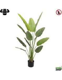 Plante artificielle 4X Strelitzia Nicolai 180 cm IGNIFUGÉ (pot inclus) anti UV vegetal shop