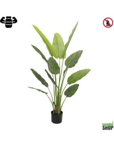Plante artificielle Strelitzia Nicolai 180 cm (pot inclus) ignifuge anti feu vegetal shop