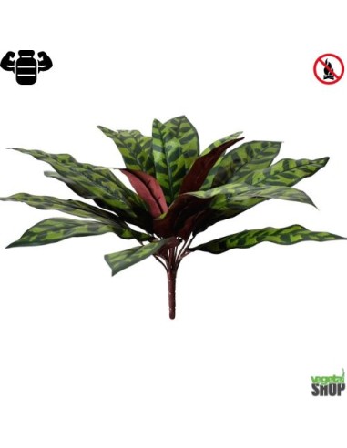 Calathea Insignis XL 44 cm Plante artificielle ignifuge anti feu vegetal shop