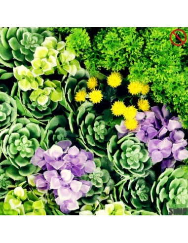 LOT 10+1 offert Tableau cadre FLEUR artificiel SUCCULIA decoration salon 50cm2 ignifugé anti UV