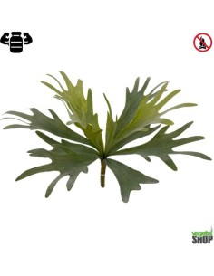 Platycerium algue 36cm plante artificielle ignifugee Vegetal Shop