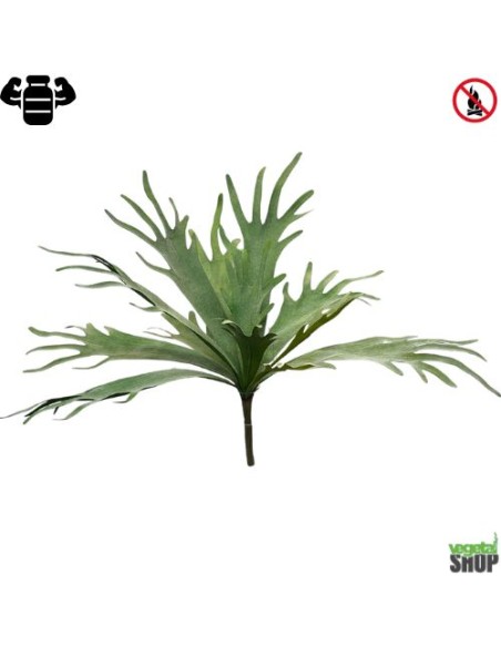 Platycerium 50cm algue plante artificielle ignifugee Vegetal Shop