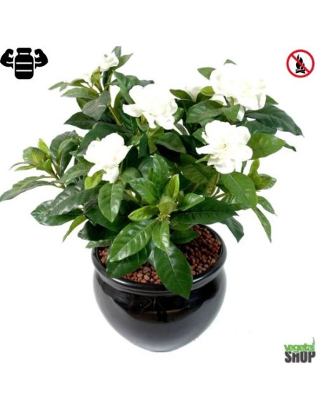Fleur X12 gardenia blanche artificielle ignifuge anti feu vegetal shop