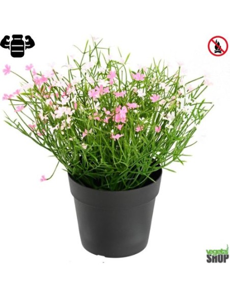 Fleur X12  marguerite rose artificielle ignifuge anti feu vegetal shop