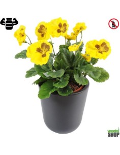 Fleur X12 pensee jaune Plante artificielle ANTI UV NON IGNIFUGEvegetal shop