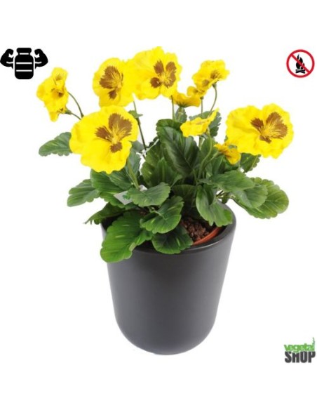 Fleur X12 pensee jaune Plante artificielle ignifuge anti feu vegetal shop